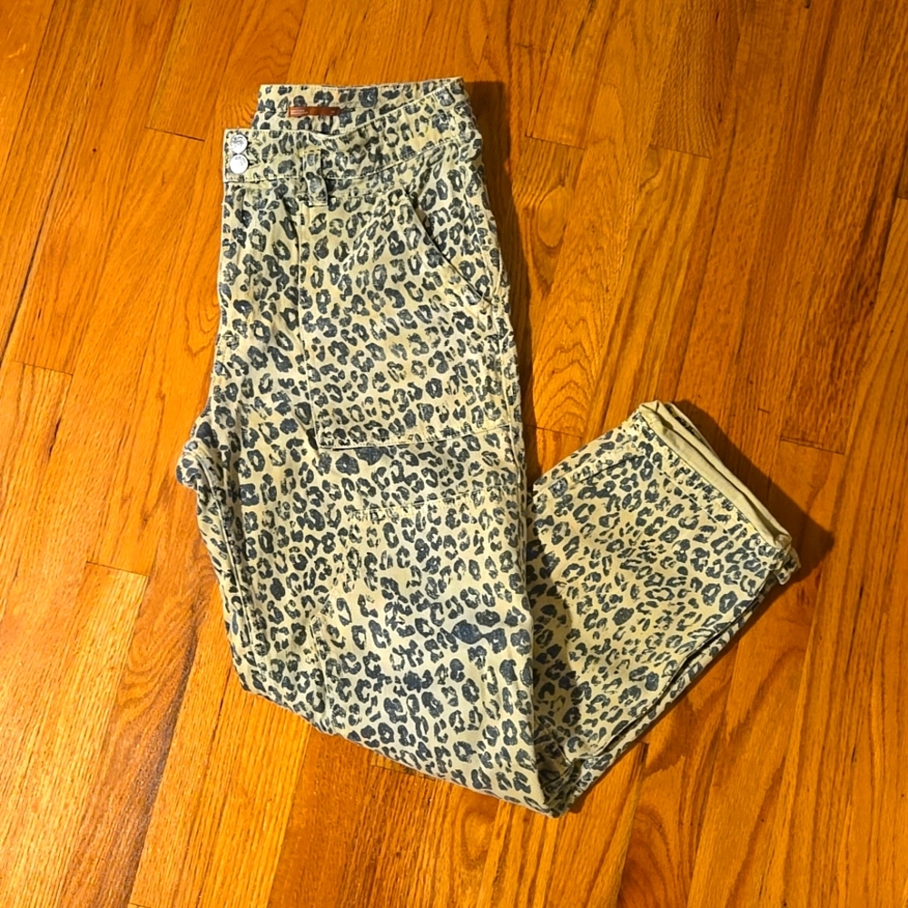 Pilcro ' The Wanderer' Utility Pant